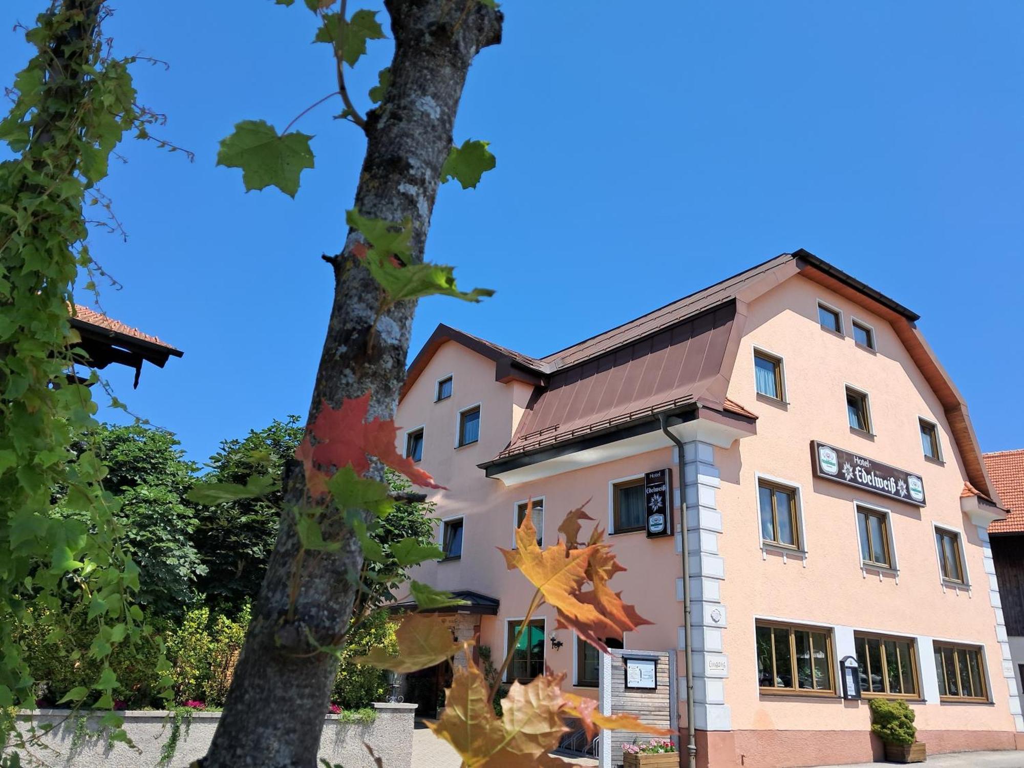 Hotel Garni Edelweiss Зигсдорф Экстерьер фото